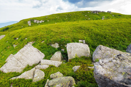 mountain landscape with stones and rocks. countryside scenery of carpathian highlands. grassy meadows on a sunny dayの写真素材