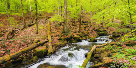 river in the woods among trees. countryside scenery in spring. beauty in nature