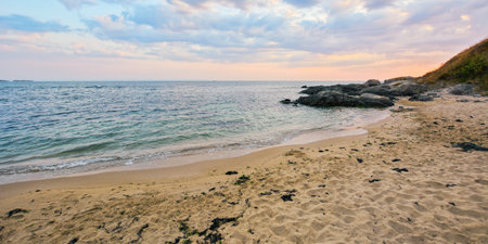 shore with sand and boulders at dawn. wave washing the coast. summer recreation background on a cloudy morningの写真素材