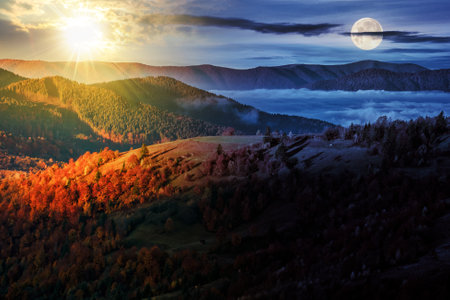 cold fog in the rural valley of Carpathian mountain range with sun and moon at twilight. trees with colorful foliage on the hillside meadow in morning light. day and night time change conceptの写真素材