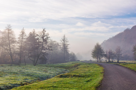 asphalt road in mountains. path through foggy valley with green grassy meadows. trip through countryside in autumn. trees along the wayの写真素材