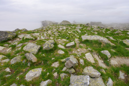 steep slopes of fagaras mountains, romania. rocks and boulders among the grass. foggy weather. mysterious adventuresの写真素材