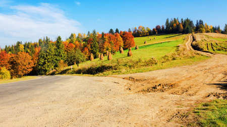 road through forested scenery in autumn. trees in fall colors. mountainous rural area on a sunny dayの写真素材