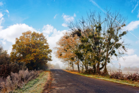 old road through countryside in autumn. foggy weather with clouds on a bright blue skyの写真素材