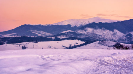 mountainous countryside at sunset. beautiful winter landscape with snow covered hills and meadows in evening light. snow capped tops of borzhava ridge in the distanceの写真素材