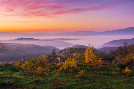 mountainous rural landscape at dawn. autumnal countryside scenery with fog in the distant valley beneath purple sky with red clouds. trees on the hills in fall colors. 2の写真素材