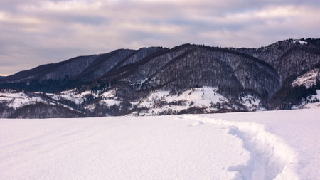 mountainous winter landscape in morning light. scenery snow covered hills and leafless forest in the distance beneath cloudy skyの写真素材