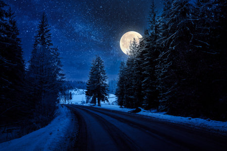 asphalt country road through forested countryside in winter at night. trees and hills in snow. mysterious atmosphere in full moon lightの写真素材