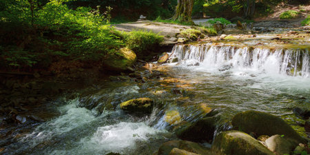 shypit water stream in the forest. carpathian nature scenery with small cascades and and stones....