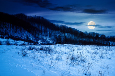 countryside scenery at winter night. snow covered meadow and leafless forest on the hill in full moon lightの写真素材