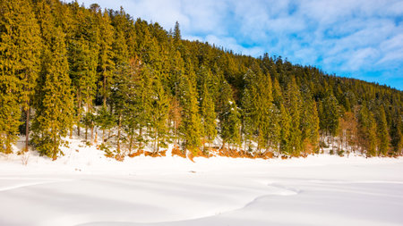 frozen and snow covered surface of a lake in synevyr national park. beautiful nature scenery of...