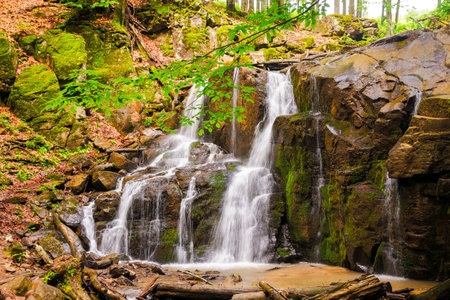 waterfall skakalo in the primeval beech forest of carpathian mountains in spring. lush water stream...