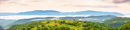 panorama of ukrainian mountainous rural landscape at sunrise. trees and agricultural fields on hills...