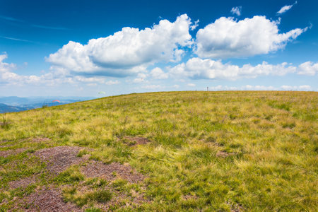 alpine meadow of carpathian mountain. sunny weather. mountainous landscape of ukraine in summer. beautiful view from borzhava ridge. fluffy clouds on the skyの写真素材