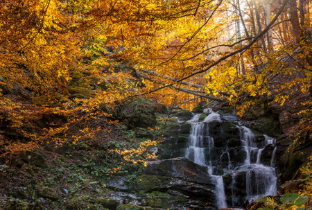 autumn scenery with waterfall. travel destination in carpathian mountains of ukraine. cascades of the river shypit in fall seasonの写真素材