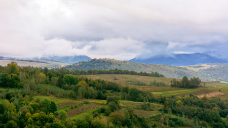 mountainous rural landscape on a rainy day in autumn. fields and trees on rolling hills beneath an...