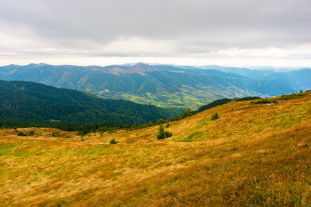 carpathian mountain landscape in autumn. cloudy weather. grassy meadow on the slopes of strymba mountain. village in the valleyの写真素材