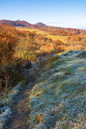 mountainous countryside landscape of ukraine in autumn. beautiful view. sunny morning. grassy meadows and forested hills. volovets district outdoor adventureの写真素材