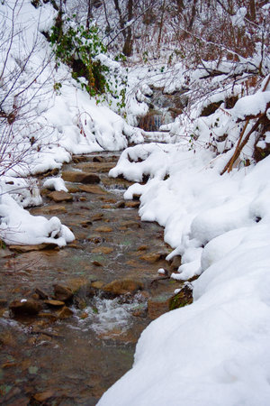 small creek in winter. snow covered shoreの写真素材