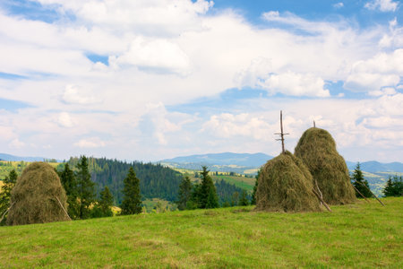 rural scenery of transcarpathia in summer. scenic valley behind the knoll. haystack on the grassy...