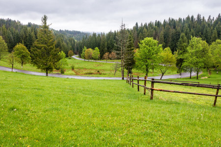 countryside landscape in spring. wooden fence on the grassy meadow and forest on the hill. beautiful view in to the valleyの写真素材
