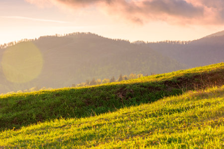 countryside outdoor view in evening light. mountain landscape in spring. rural nature background with green meadow and forest on the hill under clouds on skyの写真素材