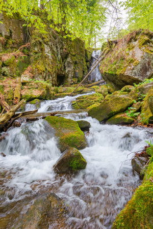 landscape with river among rock in forest. clear water stream in nature green environment. beautiful natural park scenery near wild waterfall in springの写真素材