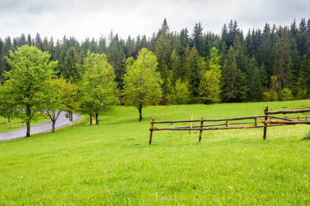 countryside landscape in spring. wooden fence on the grassy meadow and forest on the hill. beautiful view in to the valleyの写真素材
