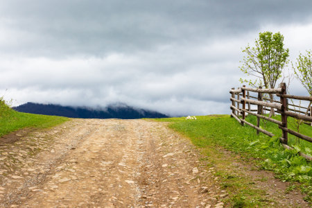 countryside mountain landscape in spring. green nature with cloudy sky. beautiful view with fence along the path through hill in the rain for tourism. rural outdoor adventureの写真素材