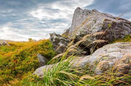 beautiful mountain landscape in late summer. alpine scenery big boulder on the meadow. dramatic sky with grey clouds. end of vacation season in europeの写真素材