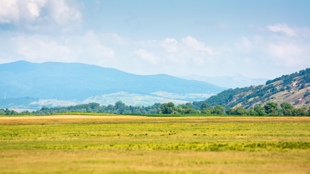 landscape with rural field. mountainous countryside of romania in summer. cloudy sky. green hillの写真素材