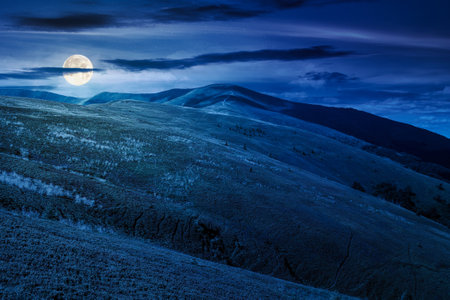 mountain landscape with green meadows in summer at night. picturesque travel destination wallpaper concept. scenery with rolling hills in full moon lightの写真素材