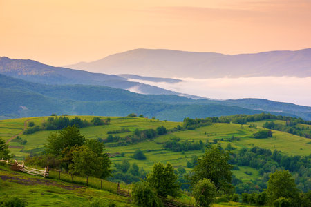 rural landscape in carpathian mountains at dawn. rolling highland.  cold fog in the valley. beautiful alpine countryside scenery in summer. hot sunrise skyの写真素材