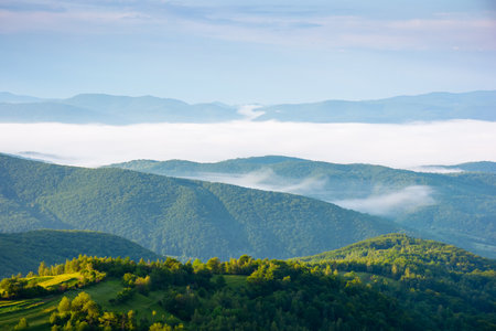 mountainous countryside landscape with fog in the distant valley. mist rolling among hills in morning light. stunning view of carpathians in summer. clouds on the blue sky. alpine ukraineの写真素材