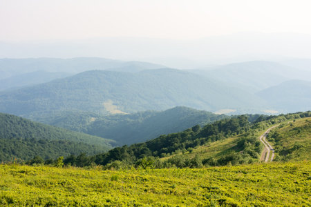 beautiful view of mountain landscape in summer. green hill rolling in to the distance in evening...