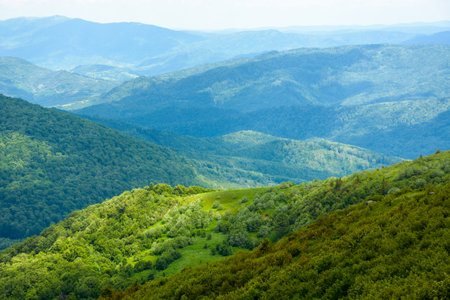 wonderful mountain landscape for travel with green hill in summer. nature scenery with scenic view in to the distant valley of carpathians in dappled light. hiking through transcarpathia highlandの写真素材