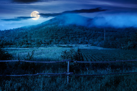 mountain landscape of ukraine with rural field in summer at foggy night. beautiful countryside scenery with forest on the hill in full moon light. mysterious view of a agriculture sceneの写真素材