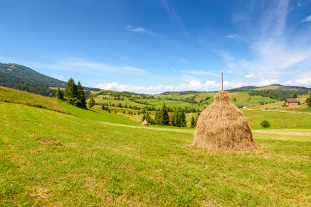 rural mountain landscape in summer. haystack on green hill near village. alpine scenery at the foot...