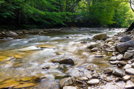 nature landscape with lyuta river in foliage forest. rocks in fresh water stream. wild outdoor...