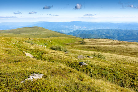 transcarpathia mountain landscape in summer. beautiful view of rolling green hills and alpine...