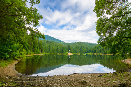 remote mountain landscape with forest lake in summer. travel nature background of synevyr national park on a sunny day. scenic view of coniferous trees reflection in water. vacation season in ukraineの写真素材