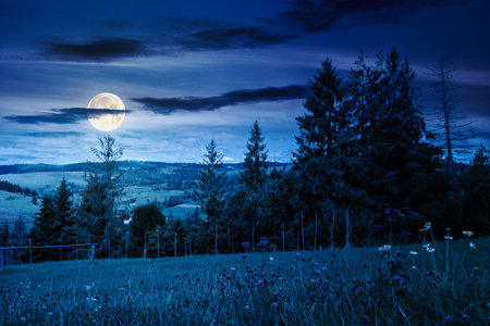 countryside landscape with green field in autumn at night. alpine scenery with grassy herb meadow...