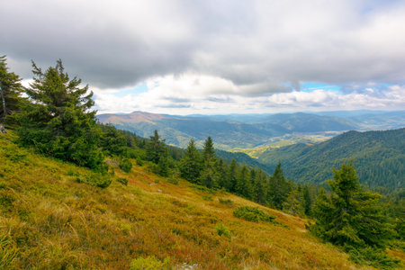 hillside of mountain range with coniferous forest and meadow. view in to the distant rural valley...