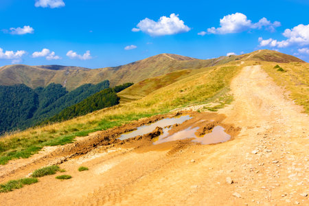 mountain dirt road through grassy alpine meadow. wonderful outdoor adventure in autumn afternoon...