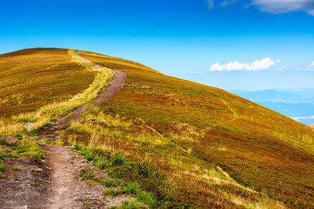 hiking path for mountain tourism in late summer. alpine landscape of ukraine. beautiful scenery of borzhava ridge with grassy rolling hills under blue sky with clouds in afternoon lightの写真素材
