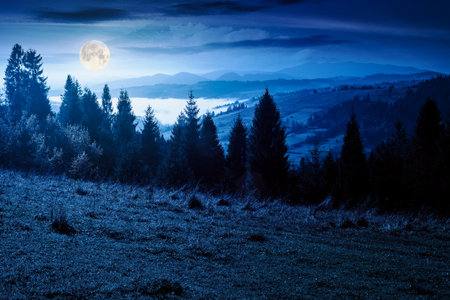 rural area of mountains in autumn at night. wonderful highland in full moon light observed from the hillside. meadows on rolling hills near spruce forest. alpine travel destinationの写真素材