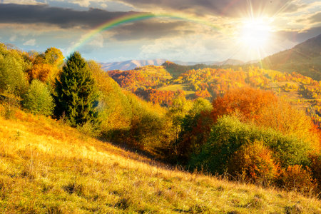 autumn mountain landscape at sunset. beautiful countryside in highlands with rural fields and colorful deciduous trees. rolling hills inder the rainbow in evening lightの写真素材