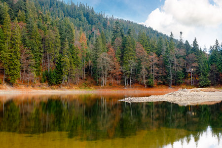 scenic landscape by the lake in autumn forest. beautiful scenery of synevyr national park in fall...