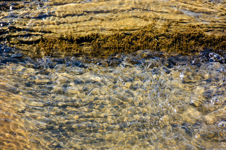 nature texture with stones in the water. closeup background of a river shore in autumn