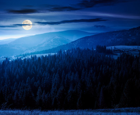 rural area of mountains in autumn at night. wonderful highland in full moon light observed from the hillside. meadows on rolling hills near spruce forest.の写真素材